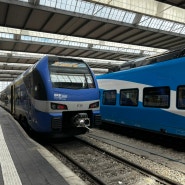 오미오 Omio 어플로 유럽 기차 예매하기 (+10유로 할인받는 방법, 잘츠부르크행 기차 탑승 후기)
