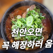재방문한 엄가네 시골집 해장국, 천안 현지인 추천 맛집