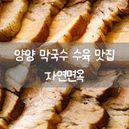 양양 애견동반 식당 자연면옥 양양현지인 맛집 후기