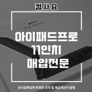 아이패드프로 11인치 매입전문 액정 파손 모두 가능한 컴사요!