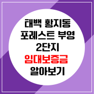 [강원 태백] 황지동 포레스트 부영 2단지 24년 8월이전 대환대출 최저금리 알아보기