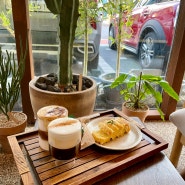 하남카페 | 식물 감성카페 카페수우 본점