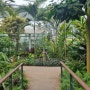 부천 수피아 식물원 주말 오후 방문 후기 : 생각보다 작았던 규모 (야간개장예약방법/입장료)