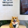 부산동물병원 강아지건강검진비용 웰케어동물건강검진센터