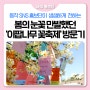 푸른 하늘과 봄의 눈꽃이 반겨준🤍 2024 상도권역 이팝나무 꽃 축제 후기