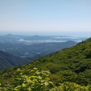 일본 도보여행-미야기-토쿠센조산(徳仙丈山-711.1M)-미야기 현 철쭉을 만나는 게센누마의 도호쿠 100명산-