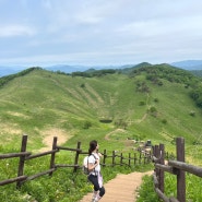 [등산일기] 5월 민둥산 등산 후기 : 민둥산은 가파른 산이었다!