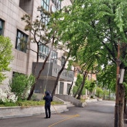 서울과 경기도에 위치한 학교 50여 곳에 대한 1차 수목 병해충 방제를 마무리 해가며