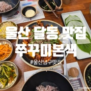 울산 달동 맛집 남구청 맛집 쭈꾸미본색 울산달동점
