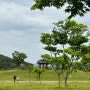 부산근교 피크닉장소 양산황산공원! P들의 즉석여행 완전 럭키비키쟈냐