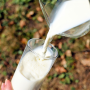 치즈와 우유가 치아 건강에 미치는 영향