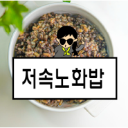저속노화식단 저속노화밥 효능, 저속노화밥 만들기