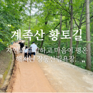계족산 황토길, 대전 아이랑 가볼만한곳:장동산림욕장