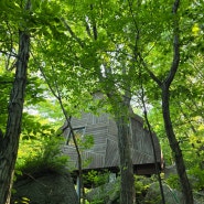 5월 하동여행 - 구재봉 자연휴양림 트리하우스 은행나무