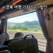 반하다 경북 시즌2 후기 무궁화호 ktx 예매 할인 경북 뚜벅이 여행