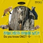 💚[알쓸숲잡] 두유노 DMZ? 멸종위기생물 '하늘다람쥐 하늘을 날다!'