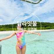 [제품] 친환경 수영복DELIGHTPOOL '딜라잇풀 원피스 수영복'