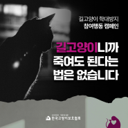 한국고양이보호협회 길고양이 학대방지 참여행동 캠페인