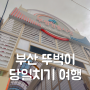 부산 뚜벅이 당일치기 여행 남포동 깡통시장 주변 구경