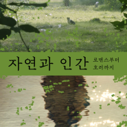 국립현대미술관 서울 MMCA필름앤비디오 2024 <자연과 인간: 로맨스부터 호러까지> 미술전시
