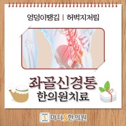 좌골신경통 증상과 원인 알아볼까요, 대구북구 추나요법 한의원