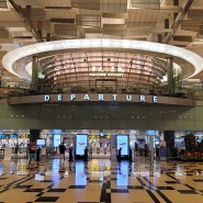 [Day 8-3] 싱가포르 송파바쿠테 본점 식사 후 창이공항 출국 후기