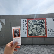 [일본 도야마] 다양한 방법으로 미술관을 즐길 수 있는 곳 도야마현미술관