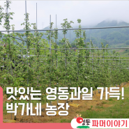 충북 영동여행 맛있는 과일을 키우는 박가네 농장