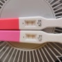 임신테스트기 (얼리테스트기) 사용시기, 희미한 두줄