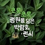 [전시·행사소개] 초록초록 정원을 담은 박람회·전시