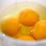 계란 노른자 영양성분