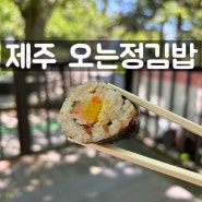 [제주 서귀포 / 오는정김밥] 전화 50번 도전끝에 예약성공, 오는정김밥 솔직후기!