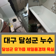 대구 달성군누수 유가읍 현풍테크노폴리스 제일 풍경채 아파트 욕실 누수