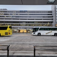 일본여행 후쿠오카 근교 편하게 다녀오기 좋은 유투어버스 이토시마 반일투어