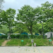 강동 그린웨이 가족캠핑장 느티나무 05 1박 후기 및 사이트별 장단점