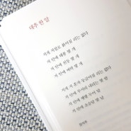 의미깊은 시 대추 한 알 장석주