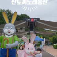 [경남 창녕] 레일썰매장이 있는 이색테마공원 "산토끼노래동산"