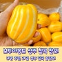 6월 제철과일 달콤아삭한 보투아몽드 성주 칠곡 꿀참외