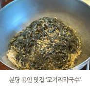 분당 용인 고기리맛집 '고기리막국수' 아기랑 주말 웨이팅 정보