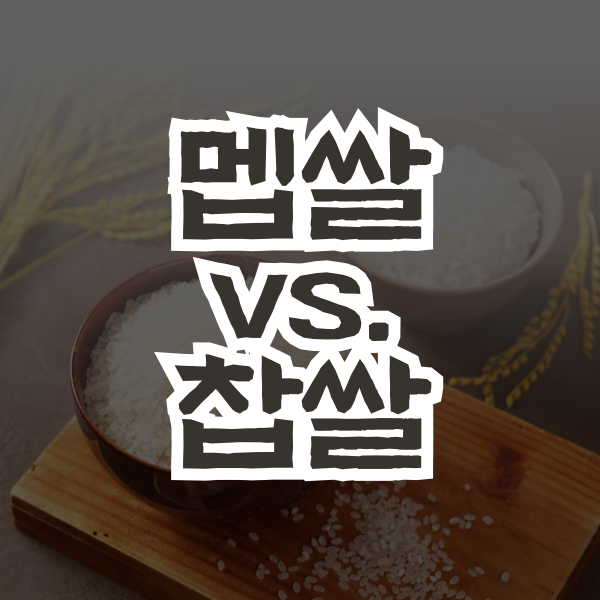멥쌀 찹쌀 차이점 다른점 성분 수분함량 용도 : 네이버 블로그