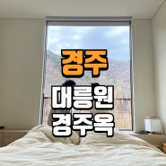 출산 전 태교 여행 경주 가볼 만한 곳 대릉원 성동시장 월정교 경주옥 후기