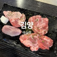 역삼동양꼬치 김양 특수부위 하이볼 후기