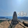 [월간산100대명산] 경남 거제 계룡산 선자산 등산코스, 구천댐상류-선자산-전망대-고자산치-거제포로수용소 유적지-통신탑-계룡산(인증)-한전철탑-팔각정-육교-거제공고-거제종합운동장