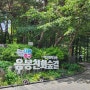 응봉친화숲길 응봉근린공원에서 서울 남산 무장애숲길 산책