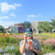 열린송현 녹지광장 방문 기록
