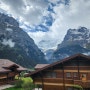 '24년 해외 한달 살기 : 스위스 그린덴발트 숙소의 미친 뷰