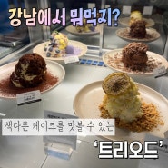 [강남 카페] 그람수대로 퍼주는 케이크 맛집 이색카페 강남 ‘트리오드’