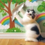 고양이 벽지 긁는 이유와 대책