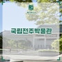 전북 여행 전주 가볼만한곳 실내 국립전주박물관