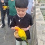 오월드 사파리 버드랜드 세종 대전 아이랑 가볼만한 동물원
